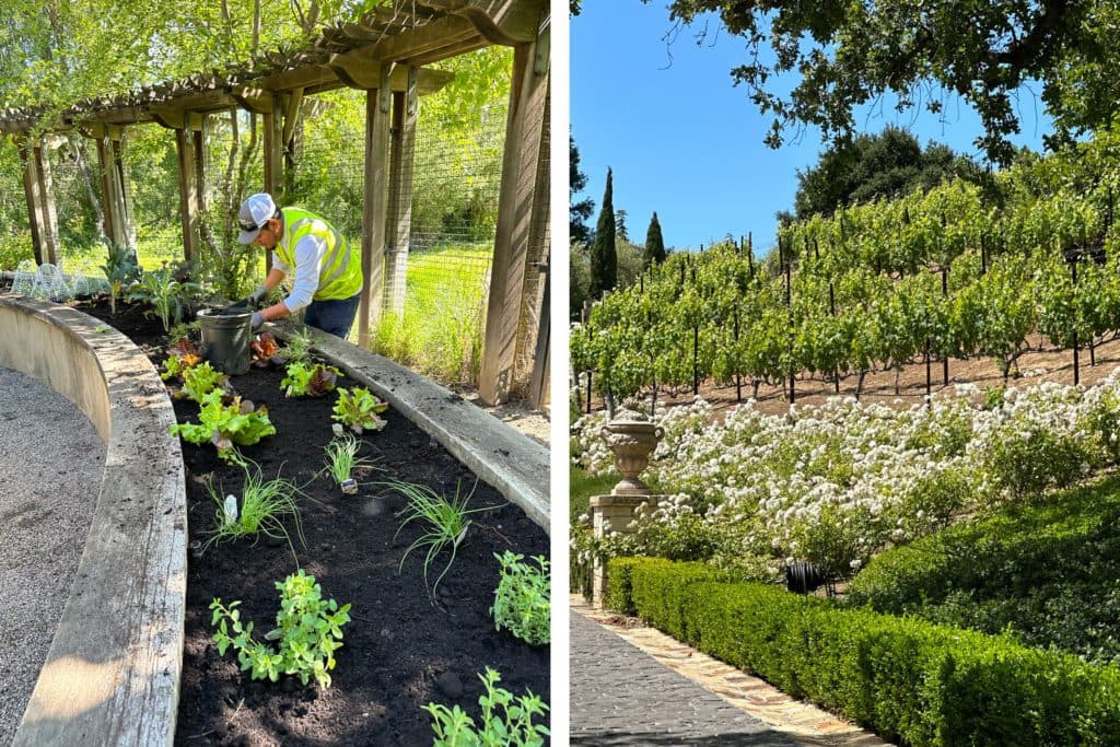 GACHINA-LANDSCAPE-MANAGEMENT4-1024x683