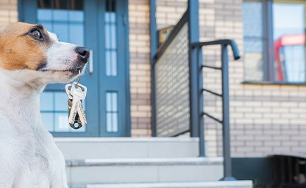 Jessica-Crager-Bio-Page_5