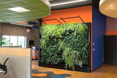 Elevation-Living-Walls4-1024x683