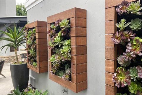 Elevation-Living-Walls9-1024x683