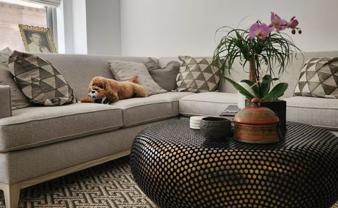 Maxine-Shriber-Bio-Page-Images_7