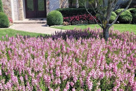 Opportunity-Landscapes-and-Nursery7-1024x683.